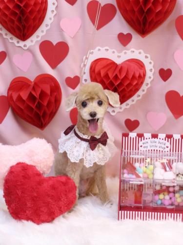 20240211ネネちゃん